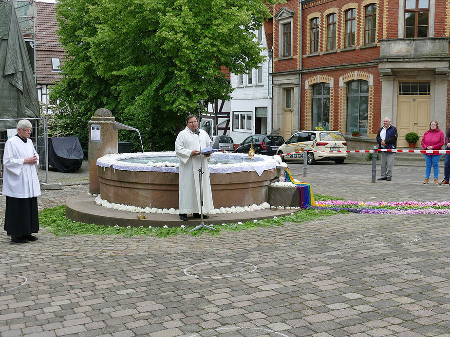 Bluemteppich auf dem Naumburegr Marktplatz (Foto: Karl-Franz Thiede)